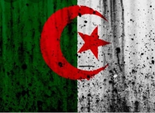  رد الجزائر على تطبيع المغرب