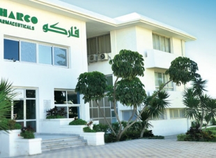 رئيس 