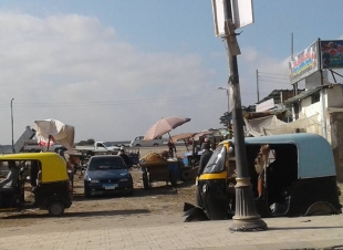 ركود داخل السوق القطاعى ببلطيم في كفر الشيخ