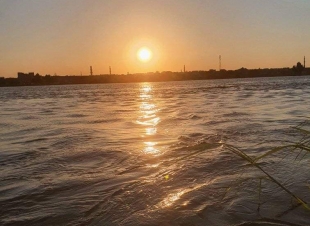 انا ابن هذه الفوضى .. فلابد ان ابتعد عنها