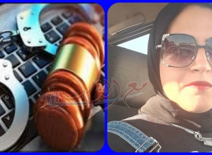 مفهوم الجرائم الإلكترونية