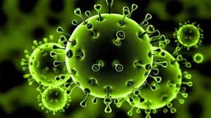 نصائح للتغلب والوقاية من فيروس كورونا