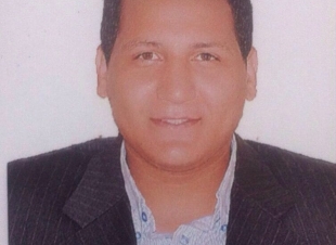 هل أضاف الاستثمار الأجنبى جديدا فى سوق الاقتصاد