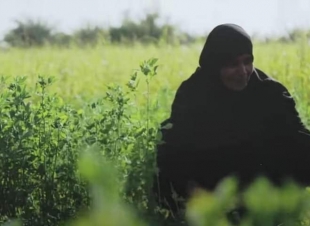 قرية السماحة ممنوع دخول الرجال يسكنها النساء فقط وأطفالهم