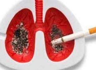 31 مايو اليوم العالمي للإقلاع عن التدخين .. بقلم سمية مدغري علوي