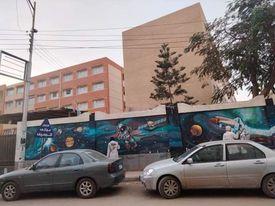 تجميل شوارع كفرالشيخ بمساعدة طلاب التربية النوعية