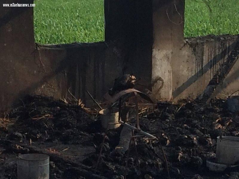 نفوق 6 آلاف دجاجة إثر حريق مزرعة بكفر الشيخ..