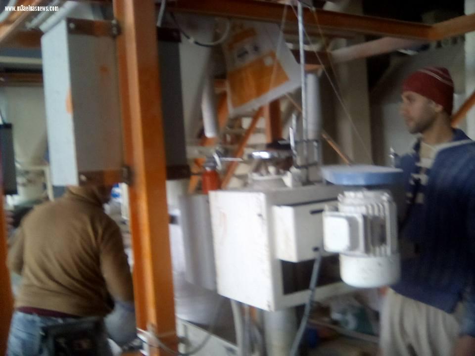 مصنع  ايجيبت فيد للأعلاف ببلطيم.. تركيبة عالمية وجودة عالية