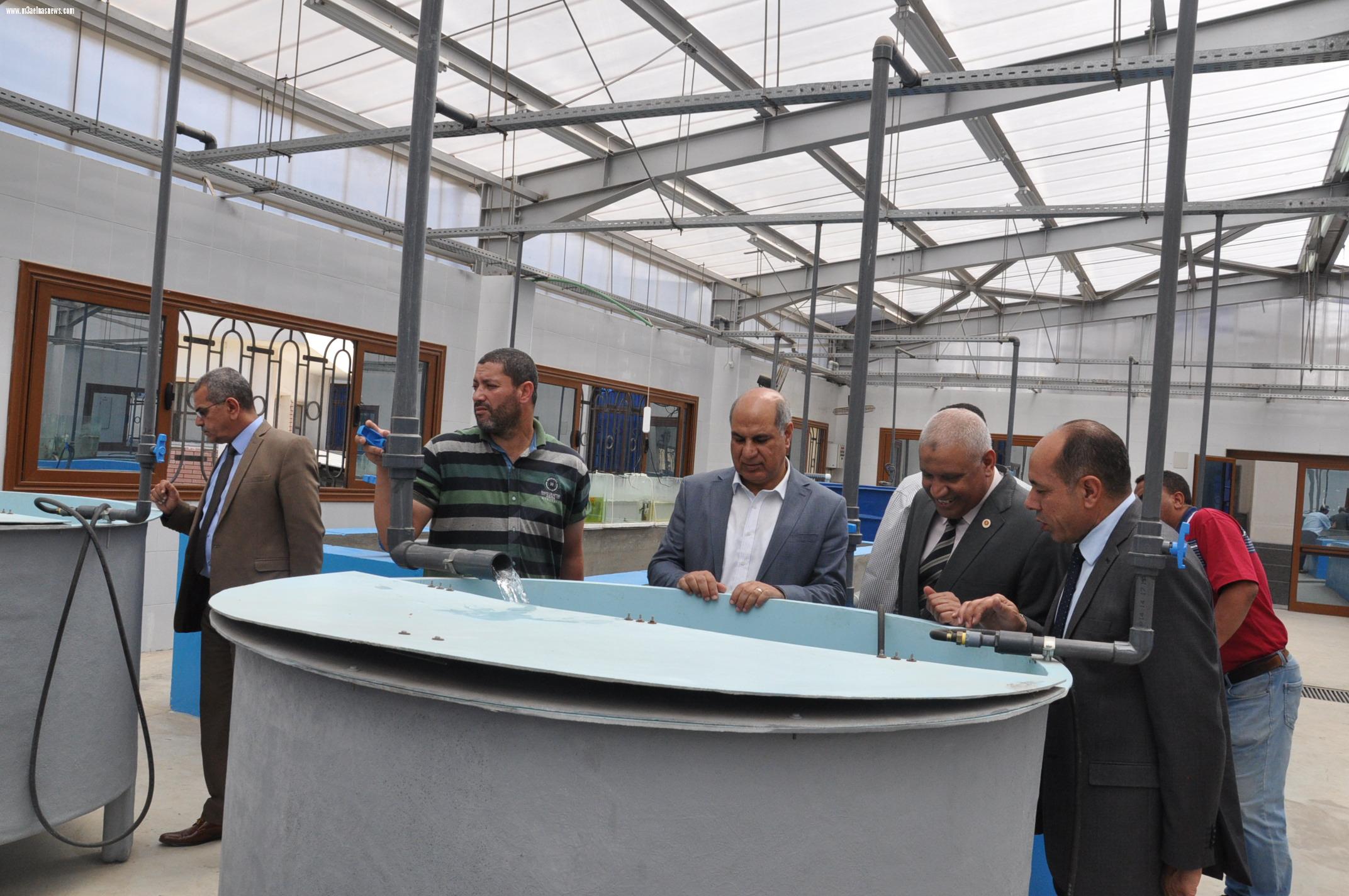 رئيس الشركة الوطنية للرمال السوداء يزور جامعه كفرالشيخ