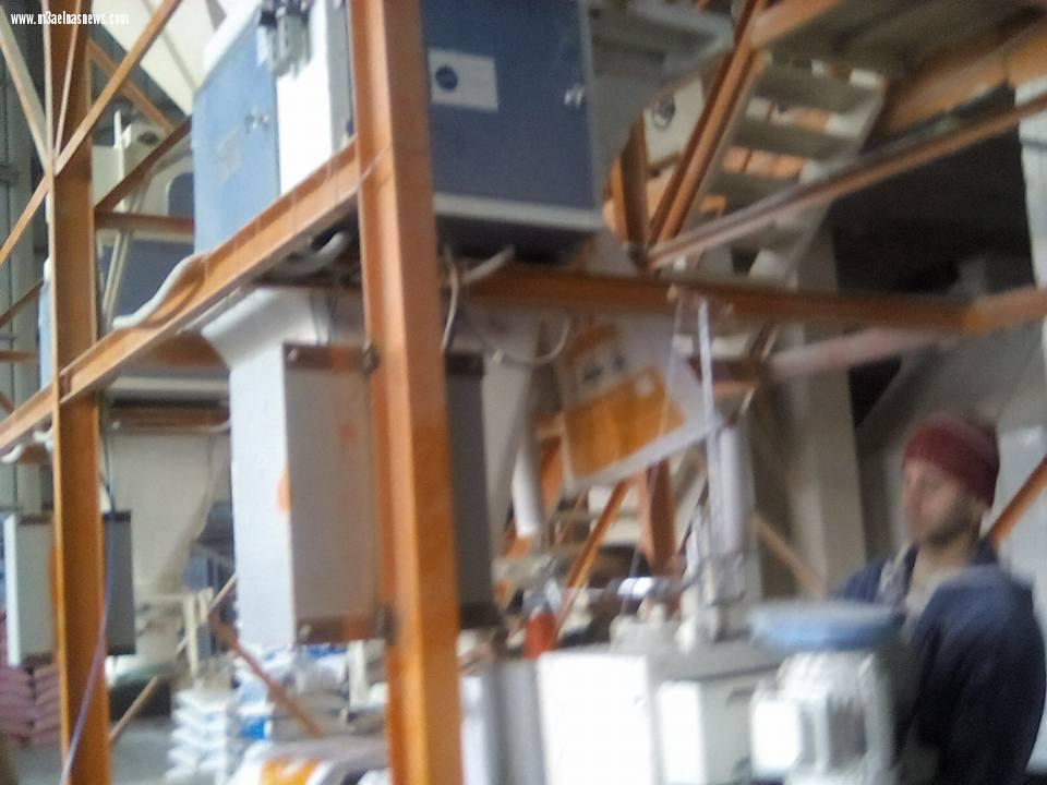 مصنع  ايجيبت فيد للأعلاف ببلطيم.. تركيبة عالمية وجودة عالية