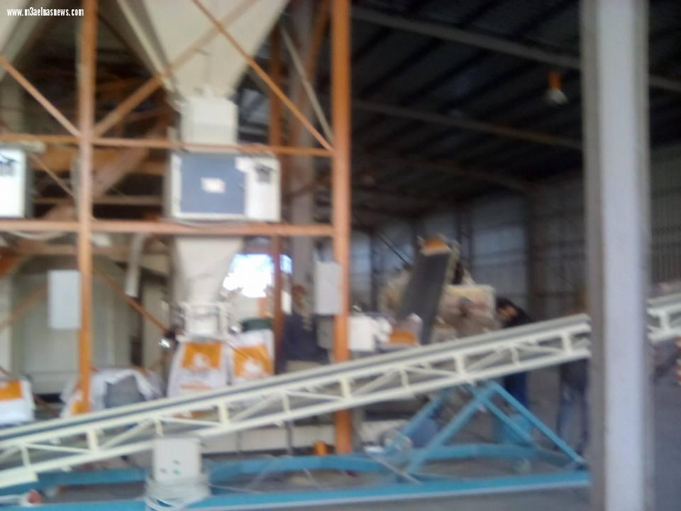 مصنع  ايجيبت فيد للأعلاف ببلطيم.. تركيبة عالمية وجودة عالية