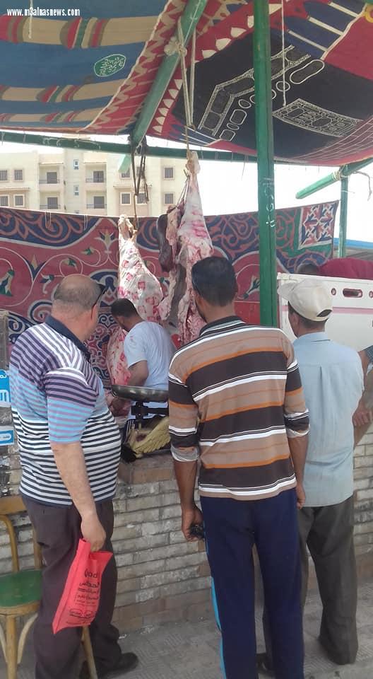 حملة لمحاربة غلاء اللحوم فى بلطيم والكيلو بـ100 جنيه
