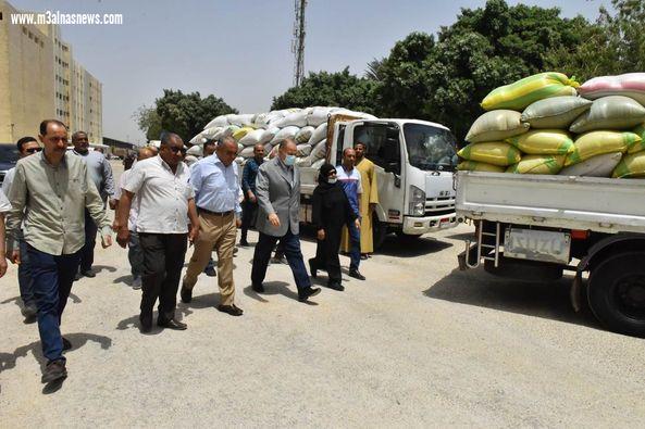 محافظ أسيوط: استلام 91 ألف طن قمح بالشون والصوامع منذ بدء موسم التوريد وحتى اليوم