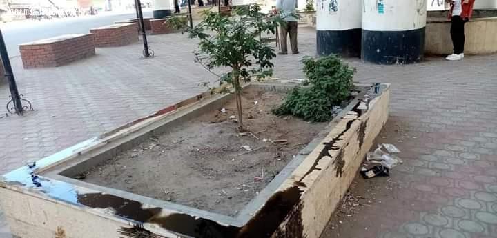 طلب إحاطة يتهم محافظ الغربية بإهدار المال العام بالمحلة