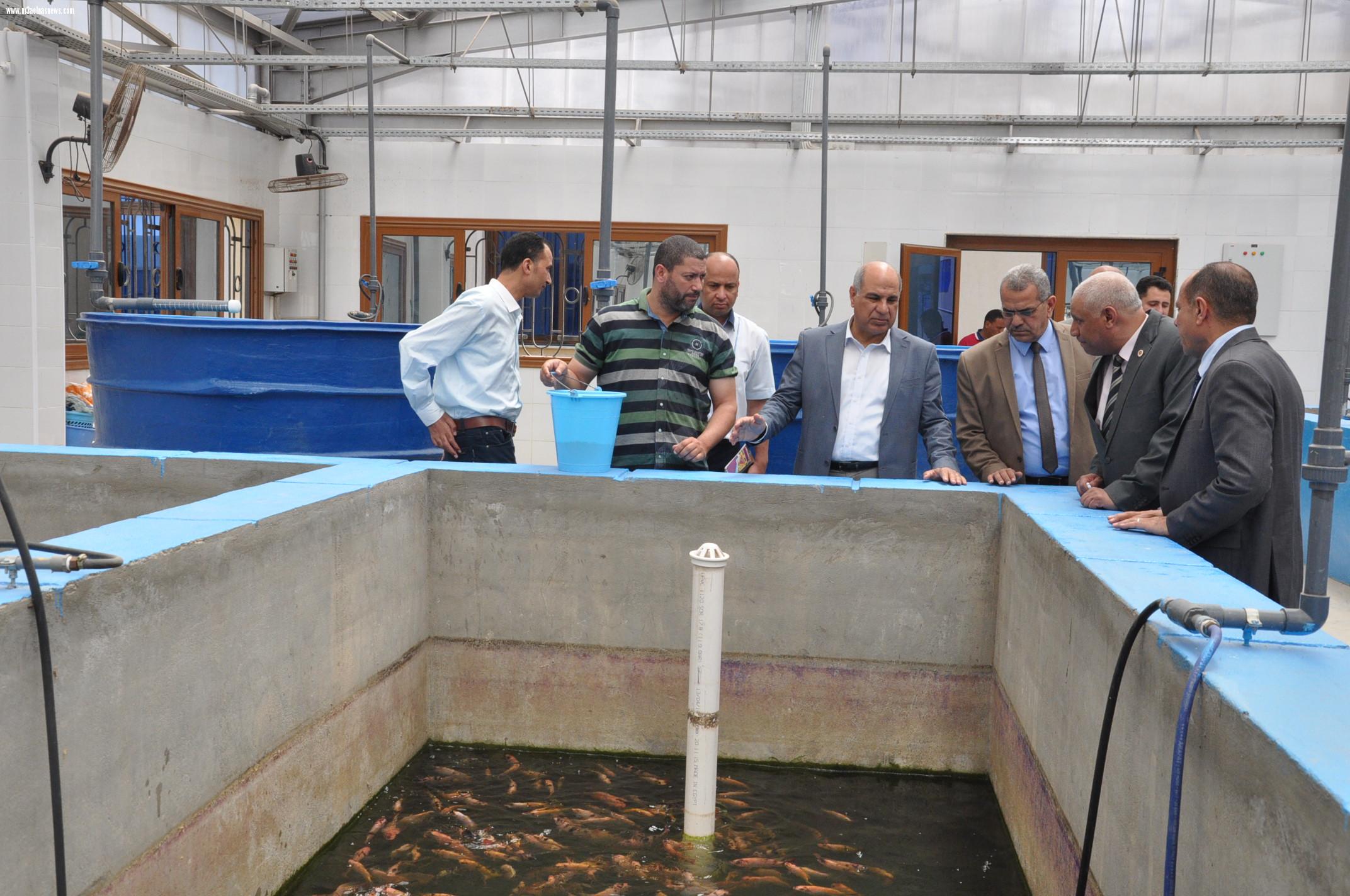 رئيس الشركة الوطنية للرمال السوداء يزور جامعه كفرالشيخ