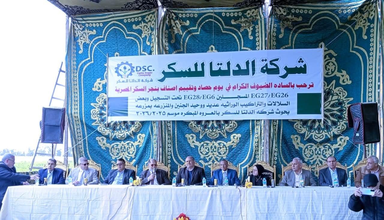 كفر الشيخ تحتفل بحصاد المستقبل وتقترب من الاكتفاء الذاتي للسكر