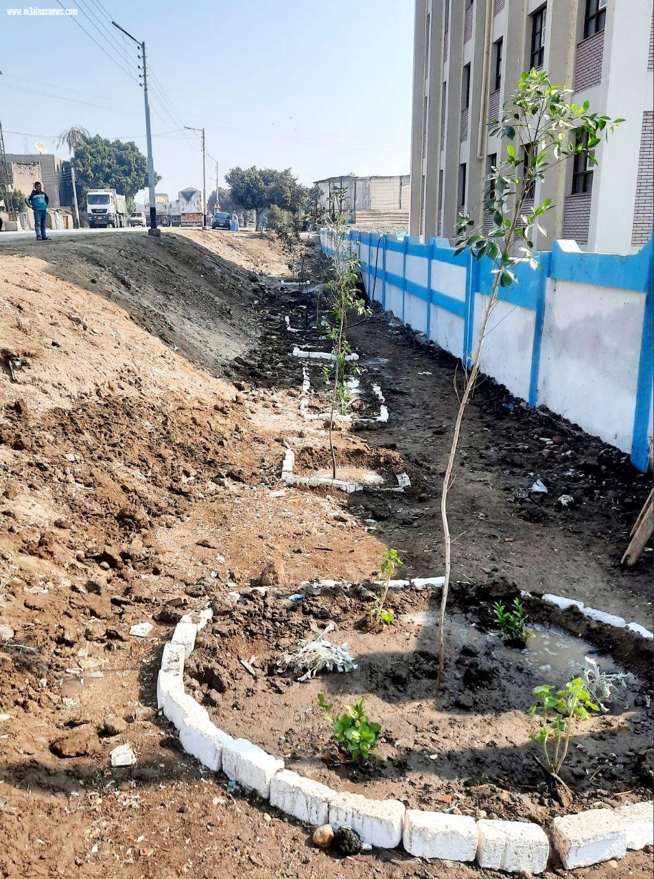 محافظ أسيوط يعلن إطلاق مبادرة 