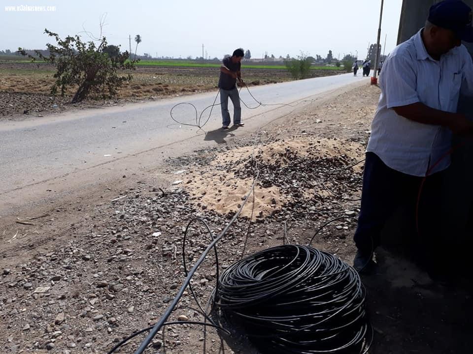 رفع القمامة بمنيا القمح تنفيذا لتعليمات عبية