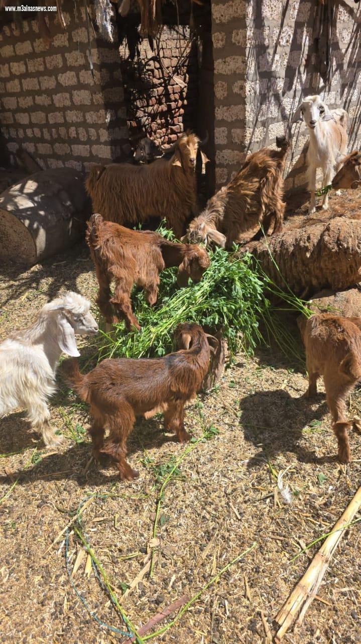 لدينا طبيعه خلابه 