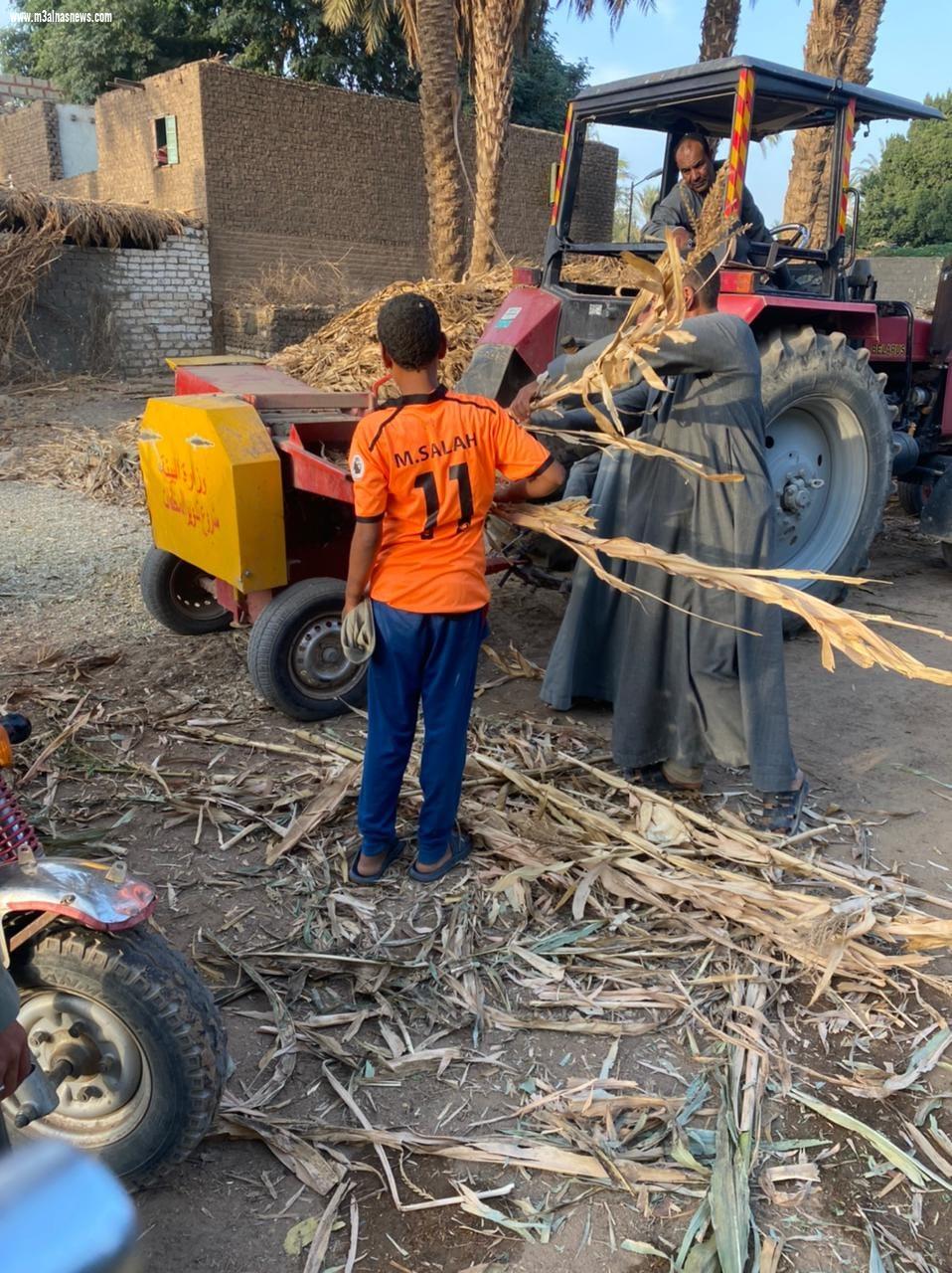 لمواجهة الحرق المكشوف محافظ أسيوط : تحرير 34 محضر وغرامة فورية وتشغيل المفارم بمركز ديروط لتحويل المخلفات الزراعية إلى سماد وعلف للحيوانات