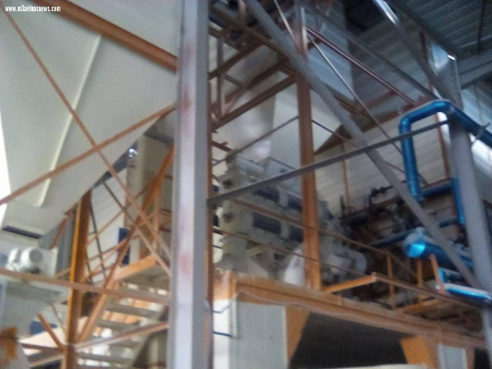 مصنع  ايجيبت فيد للأعلاف ببلطيم.. تركيبة عالمية وجودة عالية