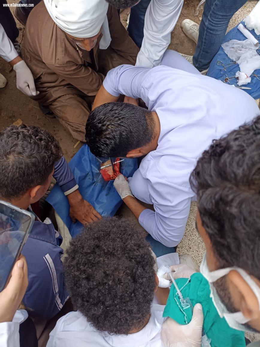 تنظيم قافلة بيطرية مجانية بمطوبس بكفر الشيخ