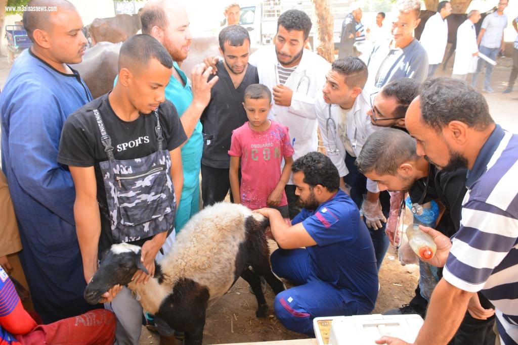 قافلة بيطرية شاملة إلى قرية بهيج ضمن مبادرة بداية جديدة