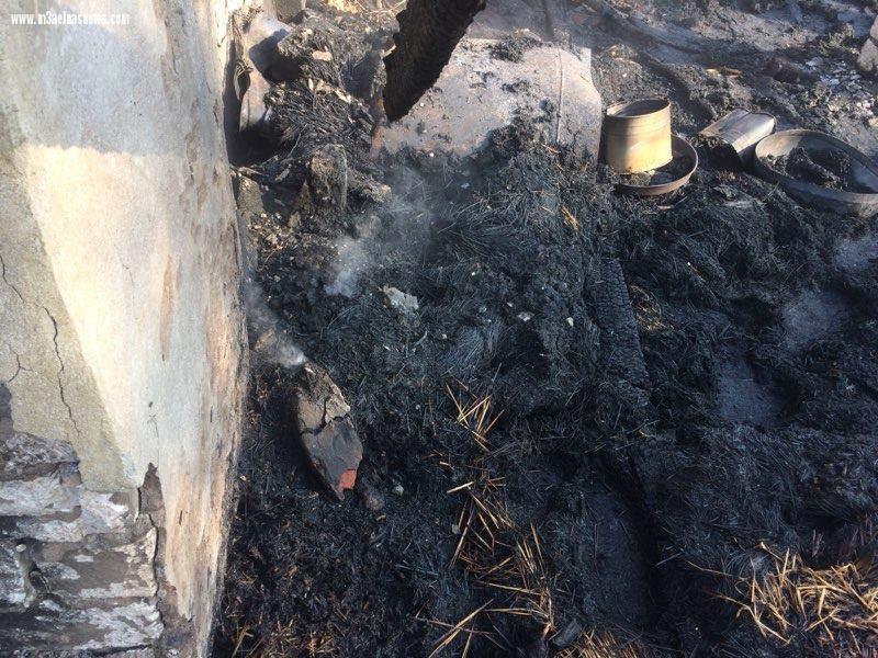 نفوق 6 آلاف دجاجة إثر حريق مزرعة بكفر الشيخ..