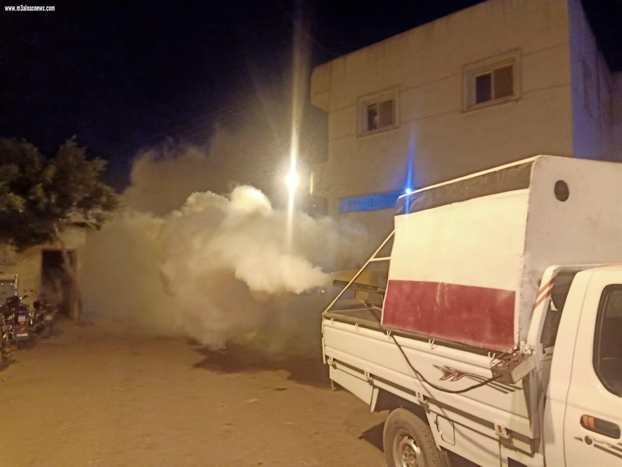 بالصور .. حملات لمكافحة الحشرات الطائرة ونظافة وتجميل ورفع كفاءة الإنارة العامة بمراكز ومدن محافظة كفر الشيخ