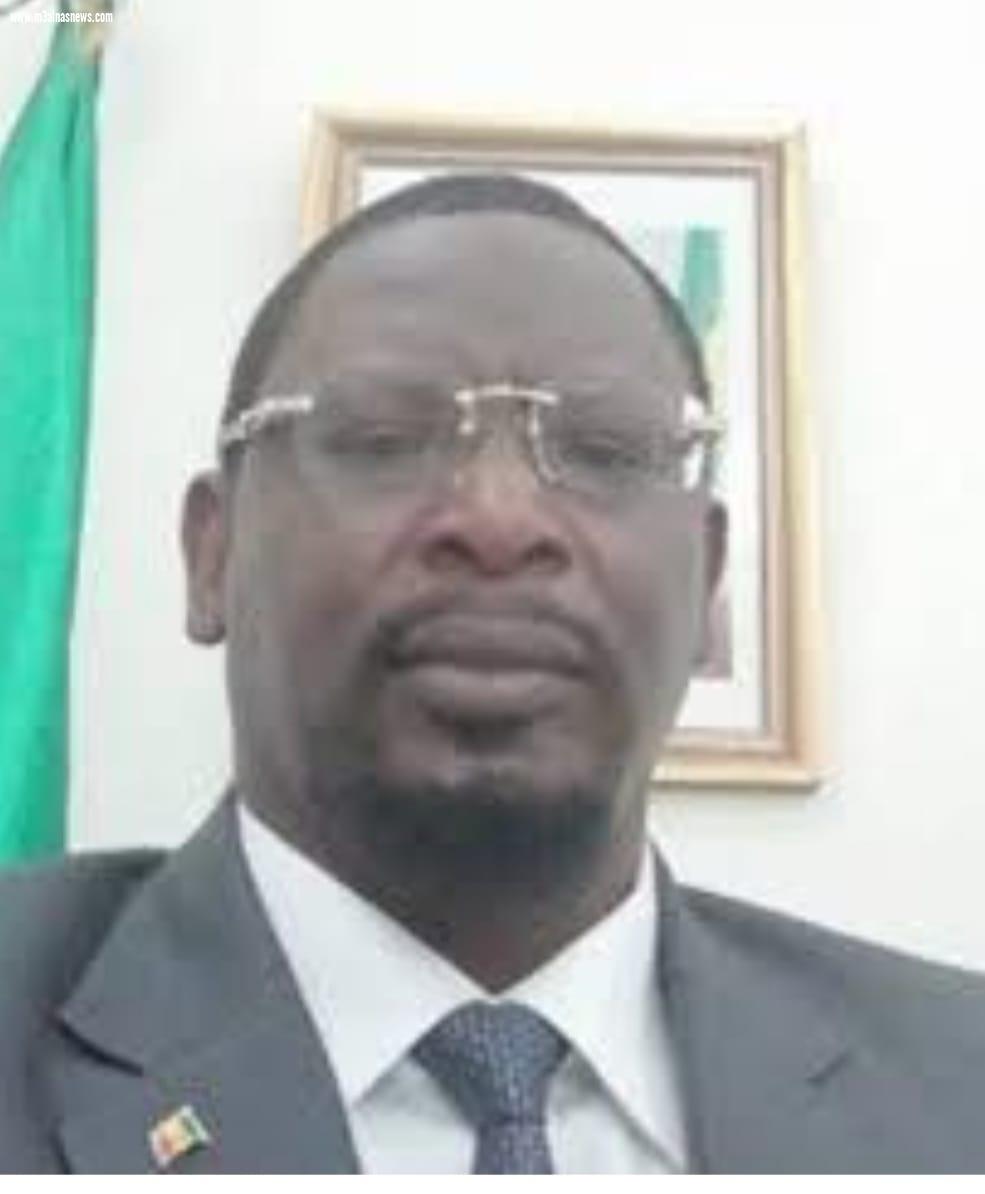 دكتور أبو بكر صار الله.. سفيرا للسنغال بالقاهرة