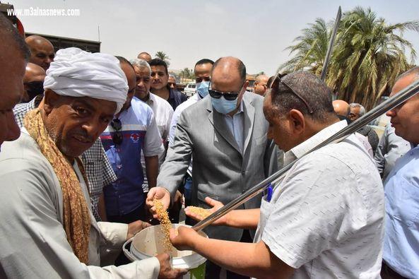 محافظ أسيوط: استلام 91 ألف طن قمح بالشون والصوامع منذ بدء موسم التوريد وحتى اليوم