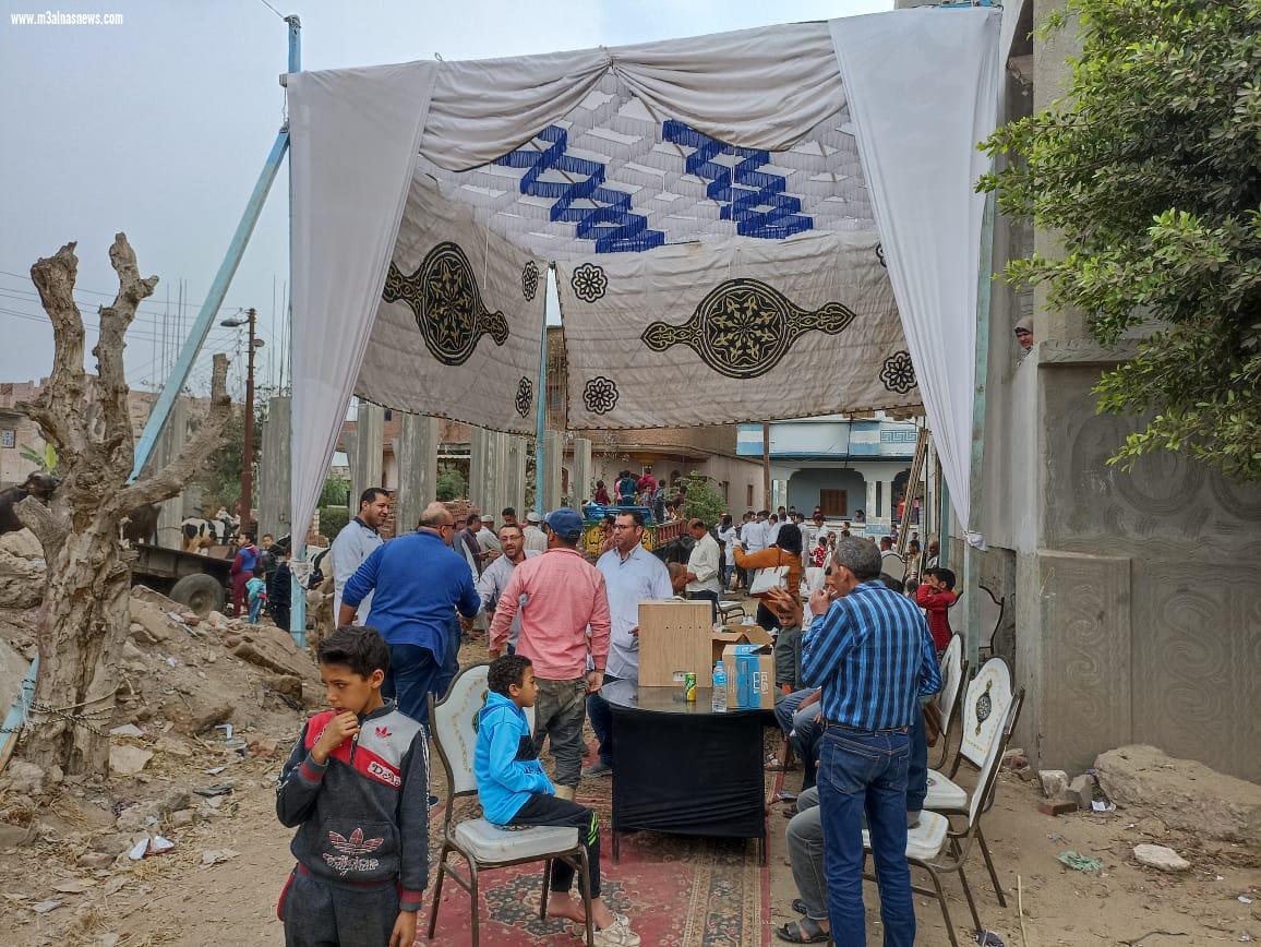 تنظيم قافلة بيطرية مجانية بمطوبس بكفر الشيخ