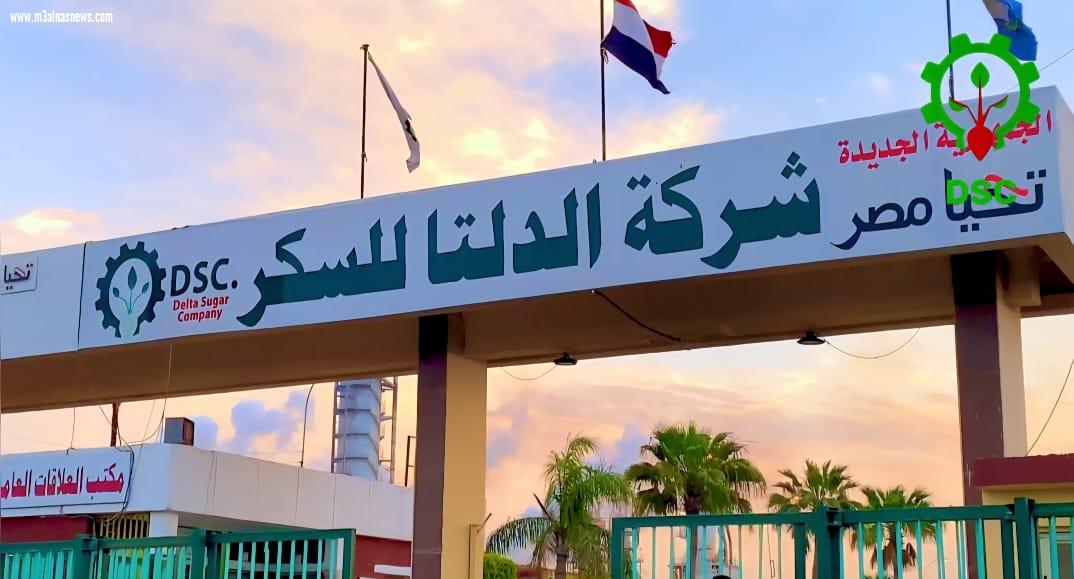مزارعو كفر الشيخ يشكرون الدلتا للسكر ... على نجاح موسم توريد بنجر السكر