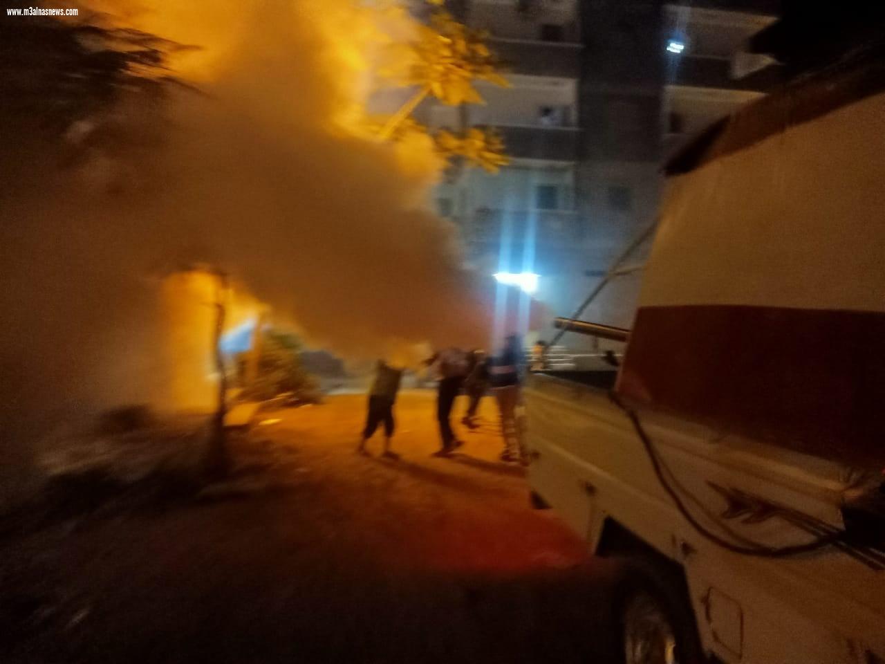 بالصور .. حملات لمكافحة الحشرات الطائرة ونظافة وتجميل ورفع كفاءة الإنارة العامة بمراكز ومدن محافظة كفر الشيخ