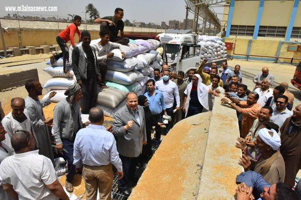محافظ أسيوط: استلام 91 ألف طن قمح بالشون والصوامع منذ بدء موسم التوريد وحتى اليوم