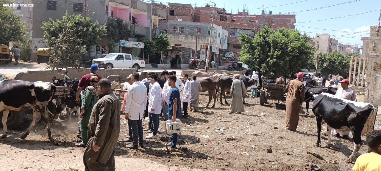 توقيع الكشف الطبى وتقديم العلاجات اللازمة لجميع الحيوانات والطيور بالمجان بقلين