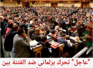 تحرك برلمانى ضد الفتنة بين الزمالك والأهلى