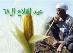 الأربعاء المقبل.. حملة الوحدة الوطنية بكفرالشيخ تحتفل بعيد الفلاح الـ69