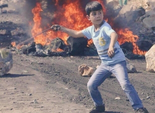 إلى إيلياء.. بقلم.. السعيد عبد العاطي مبارك الفايد