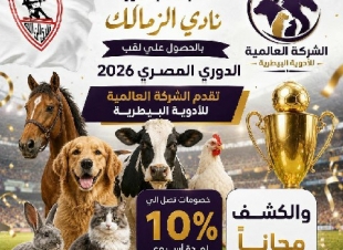فكرة جديدة وطريفة وتعد الاولي من نوعها في هذه الاونة 