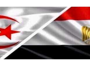 الرئيس عبد الفتاح السيسي يهنئ الرئيس الجزائري عبد المجيد تبون بحلول عيد الفطر المبارك