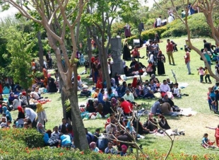 لأول مرة في التاريخ مصر بلا  شم رائحة الزهور ولا نسيم العليل