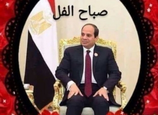 شكرا للسيد الرئيس عبد الفتاح السيس علي إعطاء تعليماته للاهتمام بموظفين الجامعات