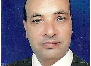 مدخل إلى علم النحو و الصرف بقلم السعيد عبد العاطي مبارك الفايد